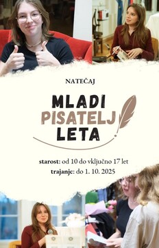 Posnetek zaslona 2025-04-26 193553